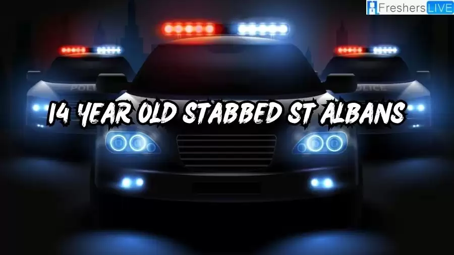 14 Year Old Stabbed St Albans and Hit by Car