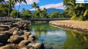 Best Places to Visit in Cairns - Top 10 Enchanting Places