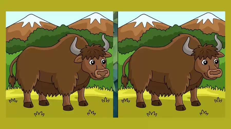 Brain Teaser Picture Puzzle: If You Have Eagle Eyes Find the Difference Between Two Images With 15 Seconds?