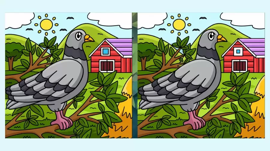 Brain Teaser Picture Puzzle: Only a genius can find the 3 differences in less than 25 seconds!