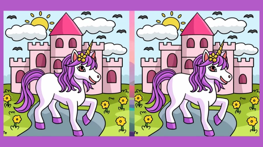 Brain Teaser Spot the Difference: Can you Spot 3 Differences in these Pictures? Picture Puzzle