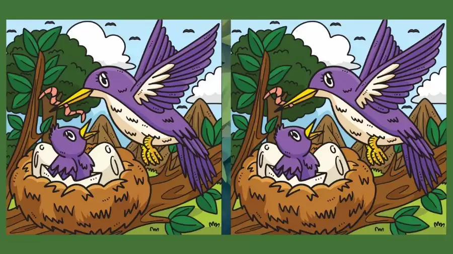 Brain Teaser Spot the Difference Game: Can you Spot 3 Differences in these Pictures?