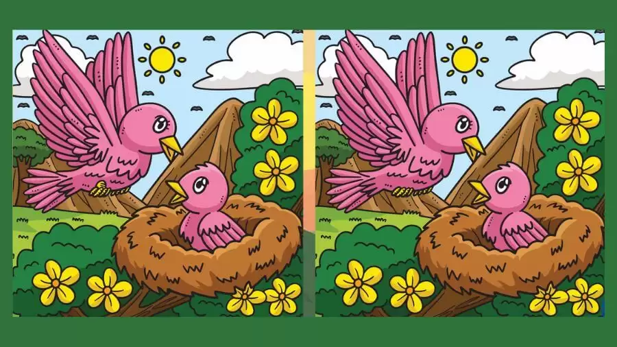 Brain Teaser Spot the Difference Game: Can you Spot 3 Differences in these Pictures?