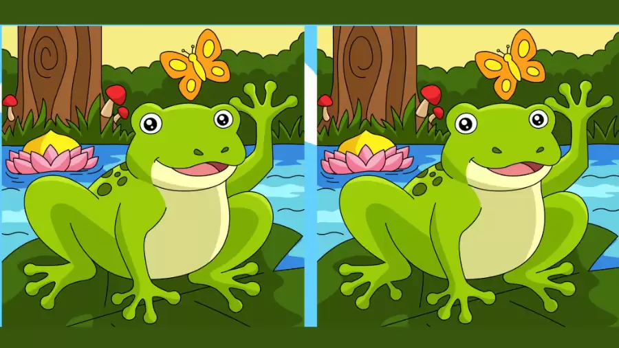 Brain Teaser Spot the Difference Game: Only a genius can find the 3 differences in less than 20 seconds!