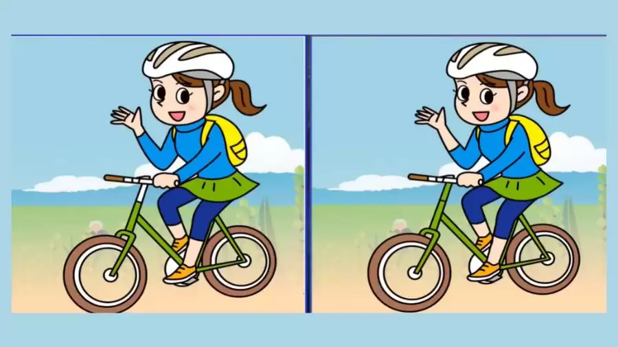 Brain Teaser Spot the Difference Picture Puzzle: Can you Spot 3 Differences in these Pictures?