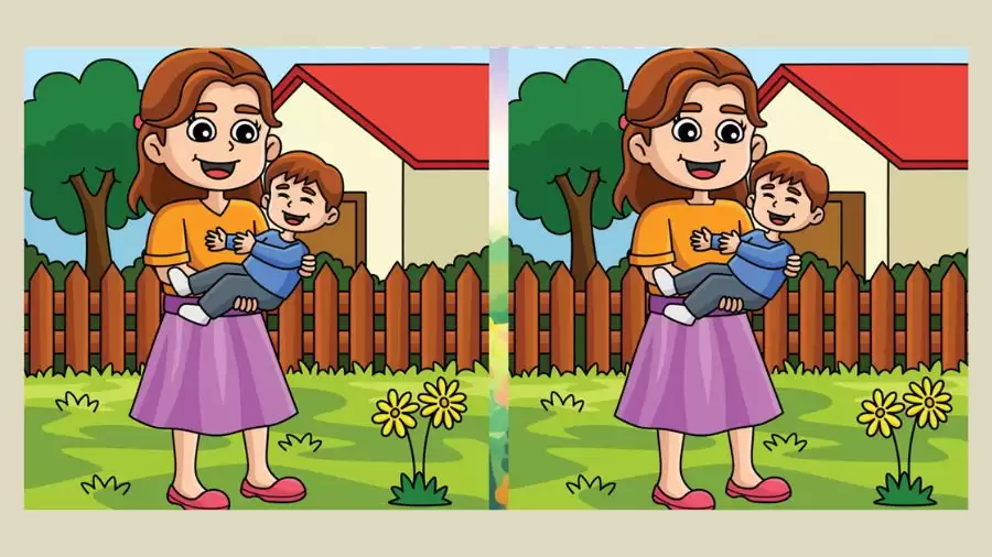 Brain Teaser Spot the Difference Picture Puzzle: Can you Spot 3 Differences in these Pictures?