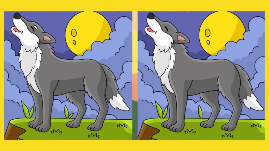 Brain Teaser Spot the Difference Puzzle: Can you Spot 3 Differences in these Pictures?