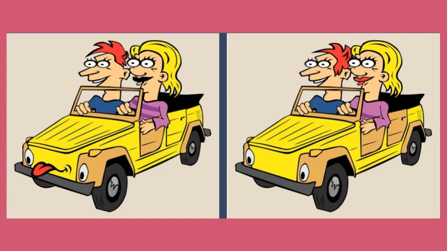 Brain Teaser Picture Puzzle: Only a genius can find the 5 differences in less than 25 seconds!