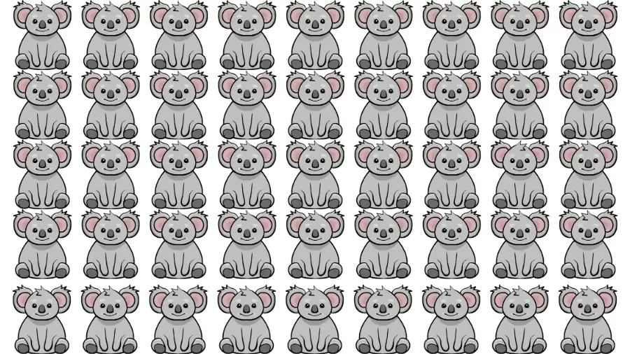 Brain Test: Find the Odd One Out in this Visual Puzzle in 12 Secs