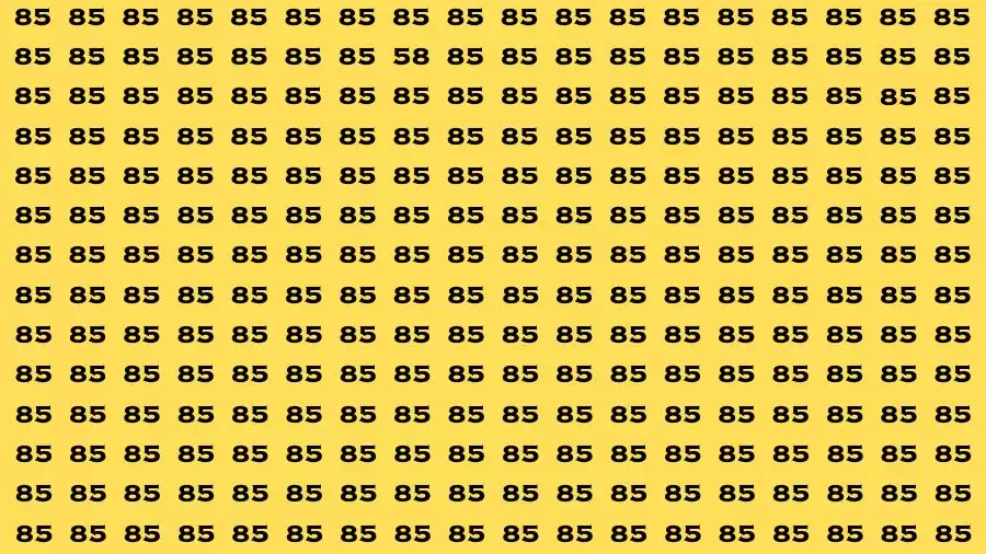 Brain Test: If you have Eagle Eyes Find the Number 58 among 85 in 15 Secs