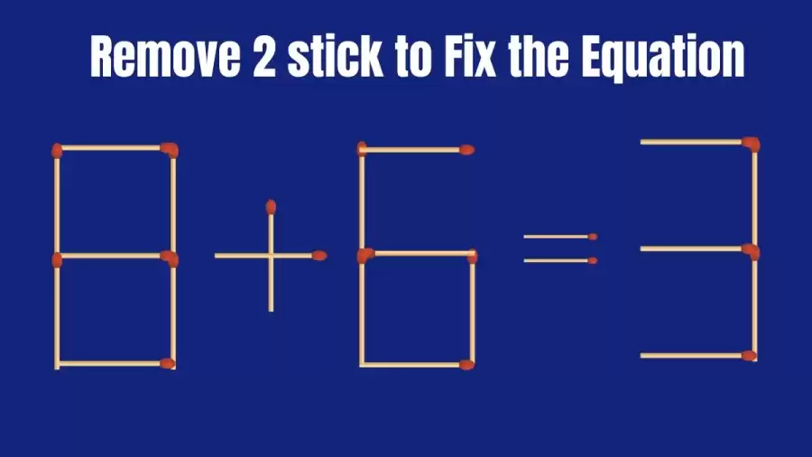 Correct the Equation 8+6=3 by Removing just 2 Sticks | Viral Matchstick Brain Teaser