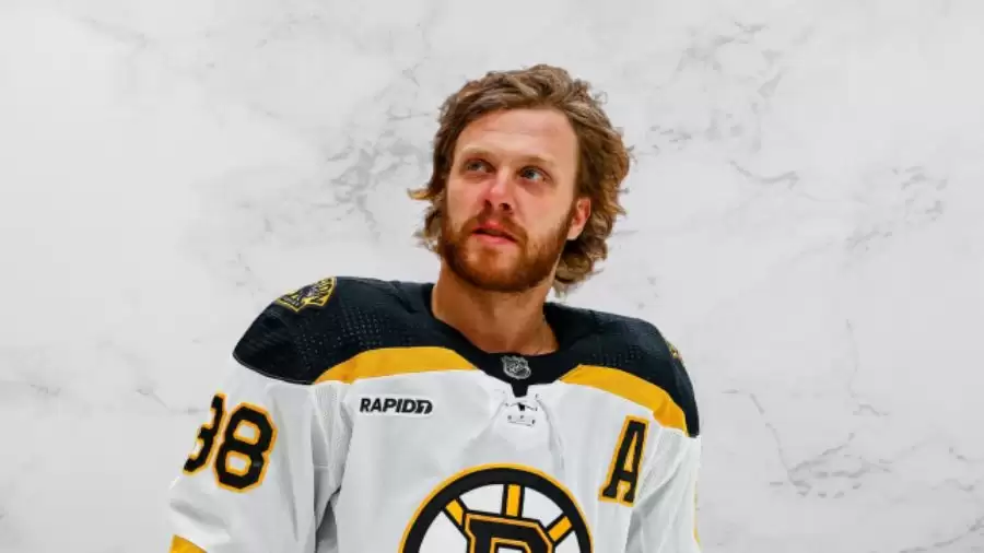 David Pastrnak Girlfriend 2023, Who is Rebecca Rohlsson?