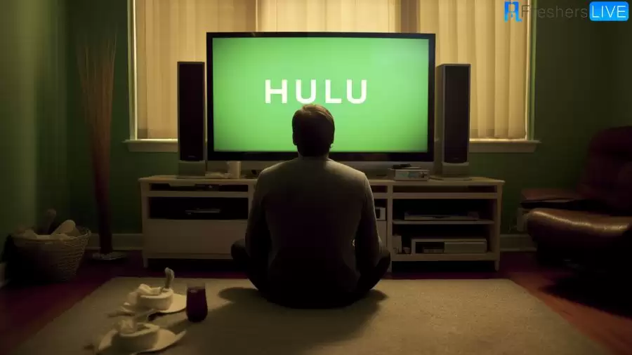 Hulu Error Code p-dev317: How to Fix p dev317 on Hulu?