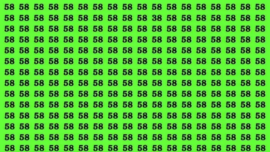 If you have Hawk Eyes Find the Number 38 among 58 in 12 Secs | Observation Skills Test