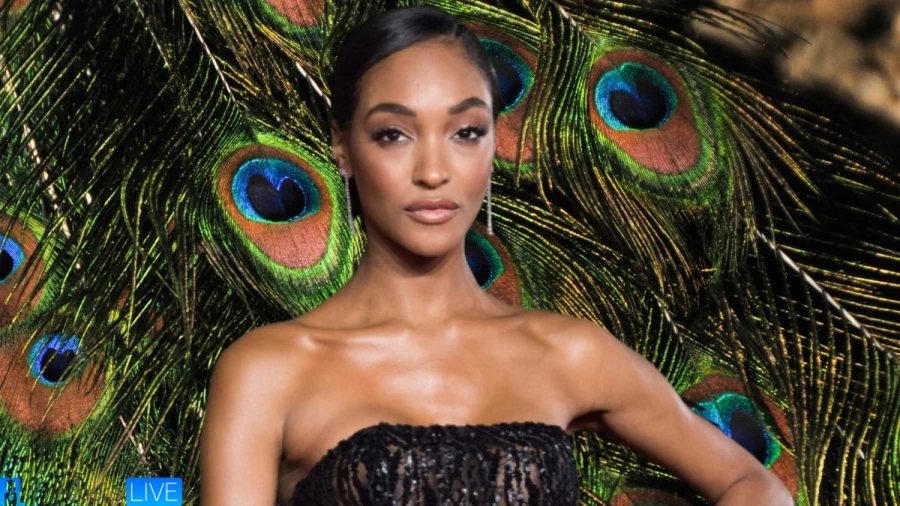 Jourdan Dunn Net Worth in 2023 How Rich is She Now?