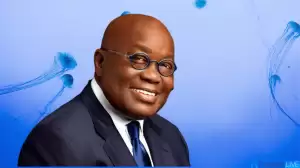 Nana Akufo Addo Net Worth in 2023 How Rich is He Now?