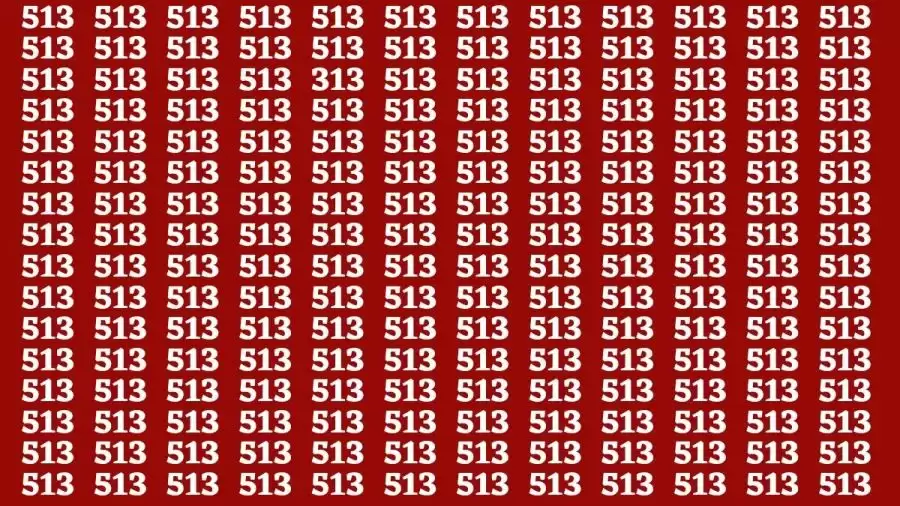 Observation Brain Test: If you have Eagle Eyes Find the number 313 among 513 in 12 Secs