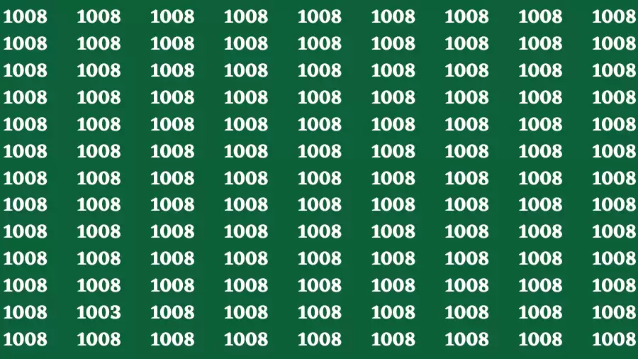 Observation Brain Test: If you have Keen Eyes Find the Number 1003 among 1008 in 15 Secs