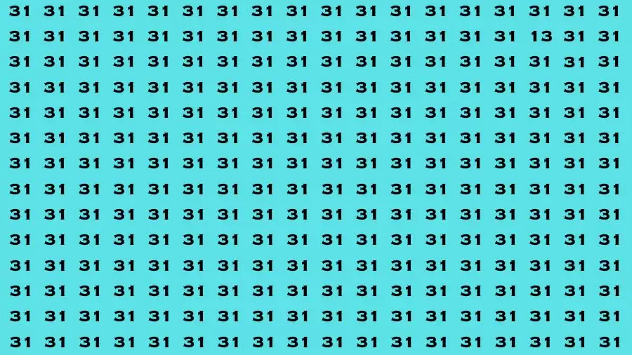 Observation Brain Test: If you have Keen Eyes Find the Number 13 among 31 in 15 Secs