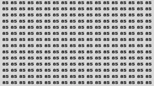 Observation Brain Test: If you have Keen Eyes Find the Number 88 among 85 in 15 Secs