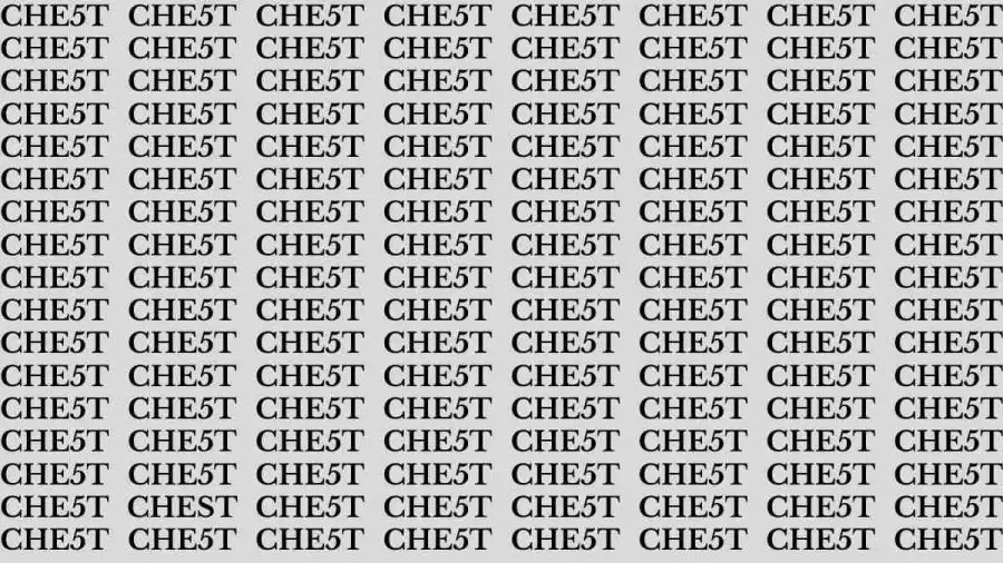 Optical Illusion Challenge : If you have Eagle Eyes Find the Word Chest in 12 Secs