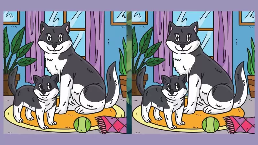 Optical Illusion Picture Puzzle: Can You Find the Difference Between Two Images Within 20 Seconds?