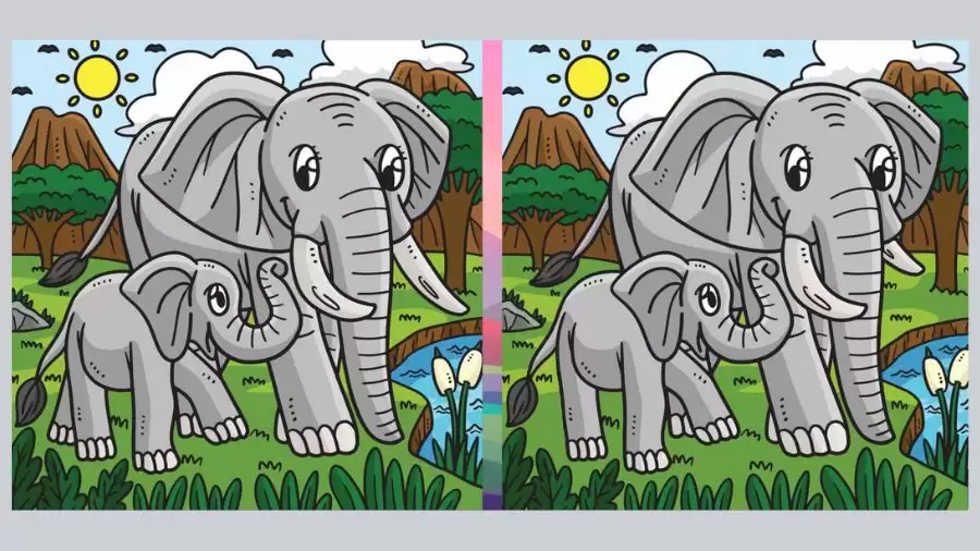 Optical Illusion Spot The Difference: If You Have Eagle Eyes Find the Difference Between Two Images With 20 Seconds?