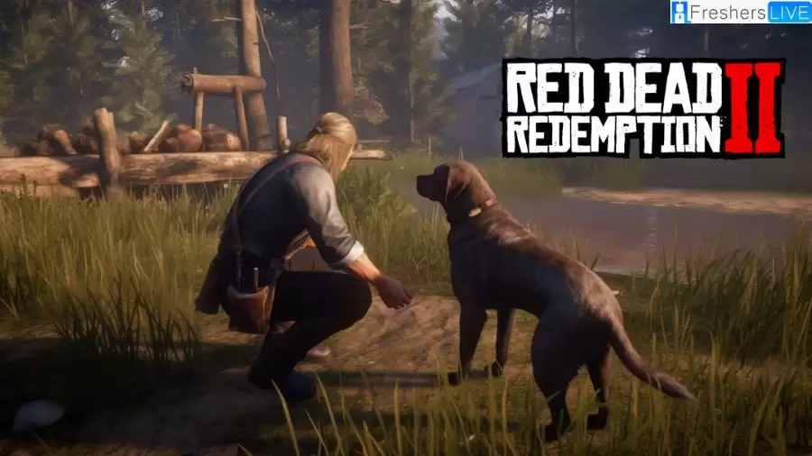 Red Dead Redemption 2 Dog Cain Has Passed Away, What happens to Cain in RDR2?