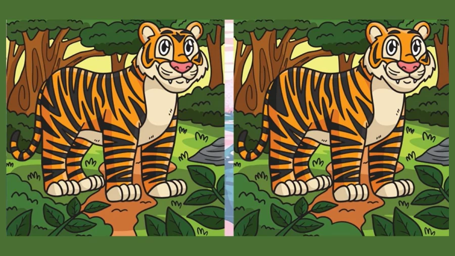 Spot the difference Game: Only a genius can find the 3 differences in less than 20 seconds!