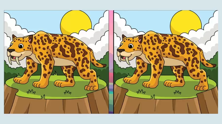 Spot the difference Game: Only a genius can find the 3 differences in less than 20 seconds!