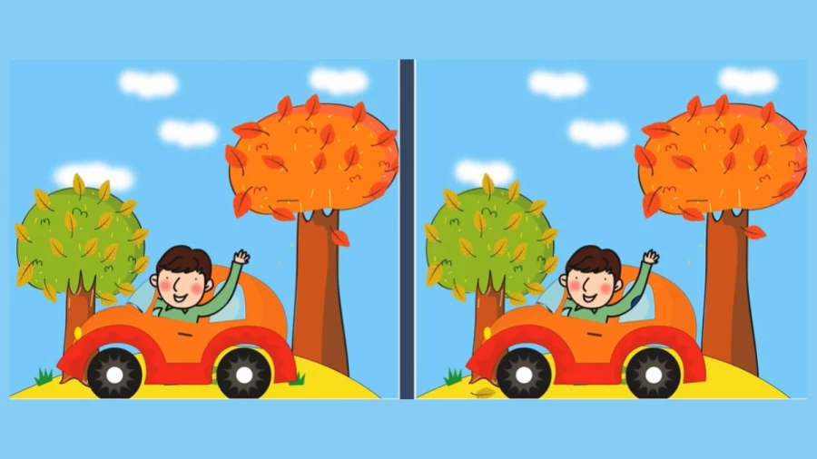 Spot the difference Game: Only a genius can find the 5 differences in less than 30 seconds!