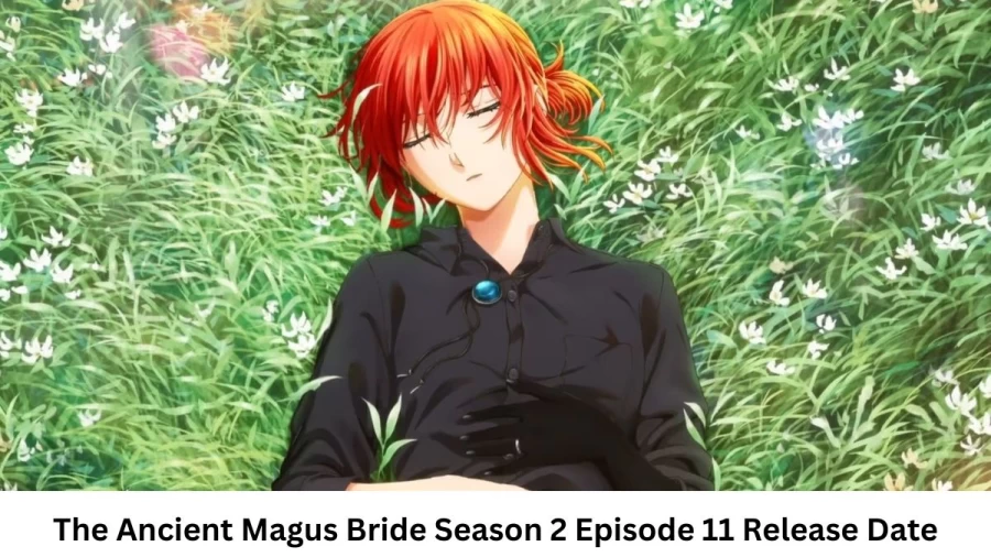 The Ancient Magus Bride Season 2 Episode 11 Release Date and Time, Countdown, When Is It Coming Out?