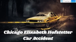 Chicago Elizabeth Hofstetter Car Accident: What Happened to Elizabeth Hofstetter?