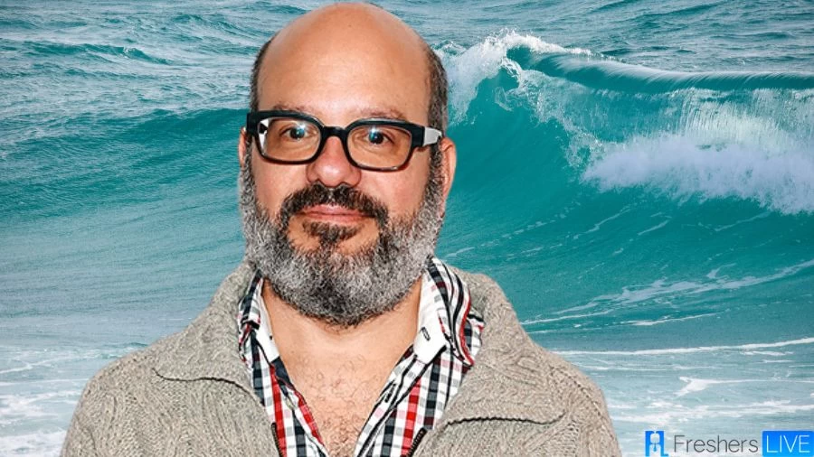 David Cross Net Worth in 2023 How Rich is He Now?