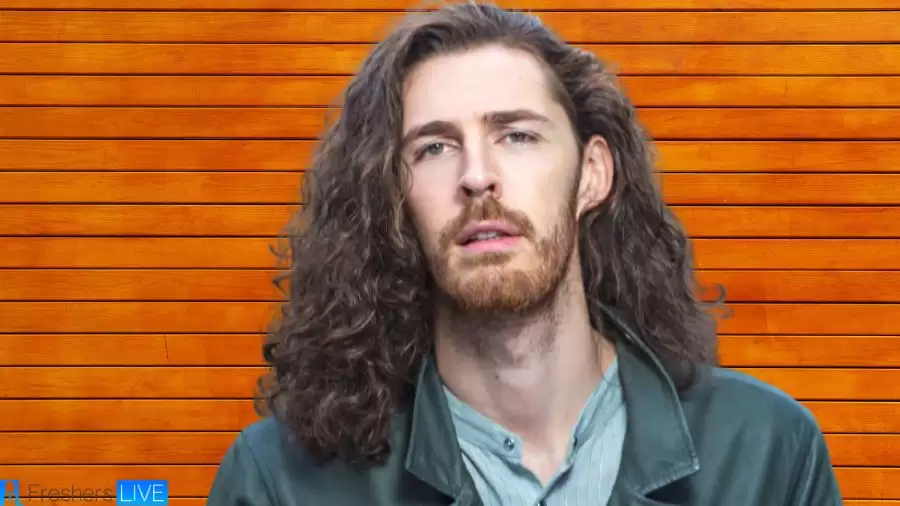 Hozier Net Worth in 2023 How Rich is He Now?