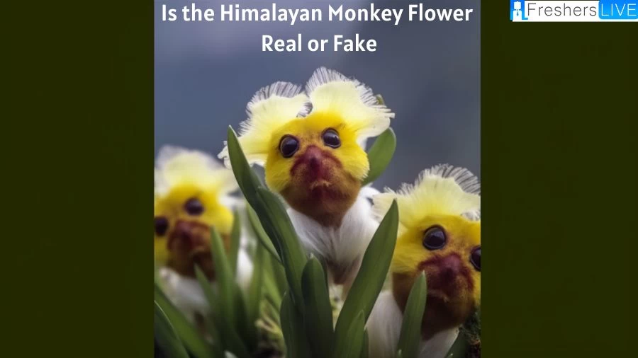 Is the Himalayan Monkey Flower Real or Fake? Revealing the Truth Behind its Authenticity