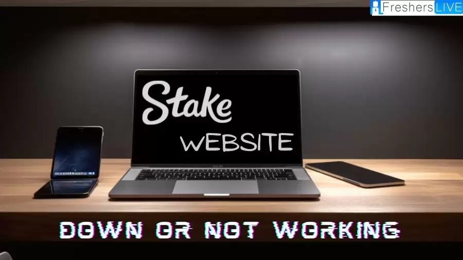 Stake website down or not working, How to fix Stake website down or not working?