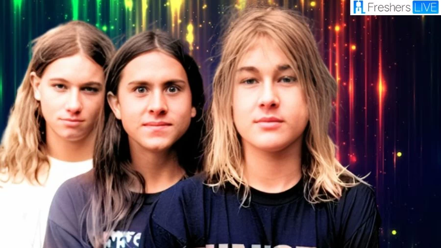 What Happened to Silverchair? Why Did Silverchair Breakup?