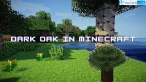 Where to Find Dark Oak in Minecraft?, How to Grow Dark Oak in Minecraft?