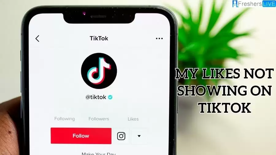 Why are My Likes Not Showing on TikTok? How to Fix TikTok Likes Not Showing Issue?