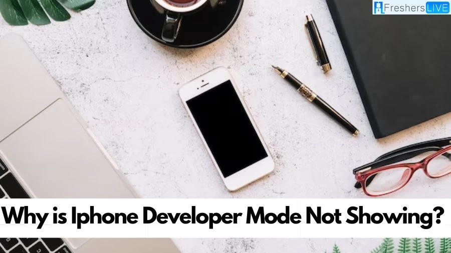 Why is iPhone Developer Mode Not Showing?, How to Fix iPhone Developer Mode NotShowing?