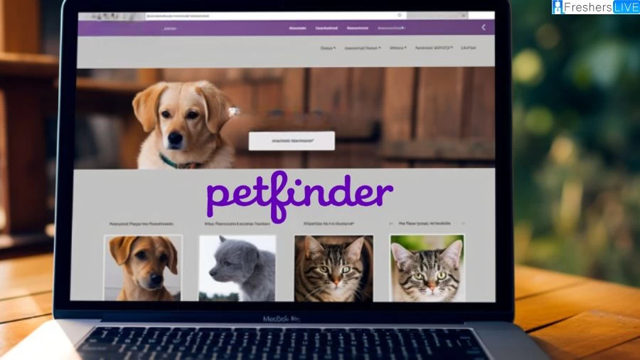 Why is Petfinder Not Working? How to Fix Petfinder Not Working?