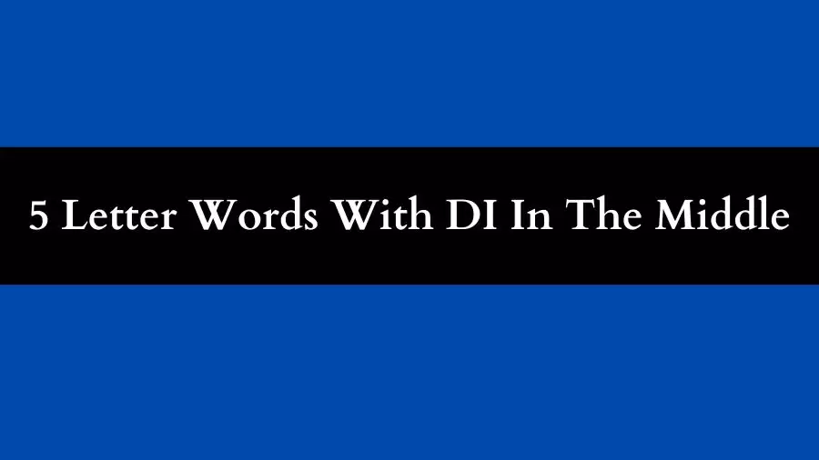 5 Letter Words With DI In The Middle, List of 5 Letter Words With DI In The Middle