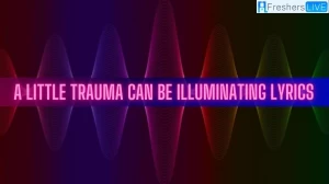 A Little Trauma Can Be Illuminating Lyrics