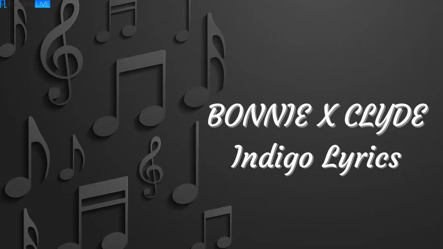 BONNIE X CLYDE Indigo Lyrics The Mesmerizing Lines and Meaning: