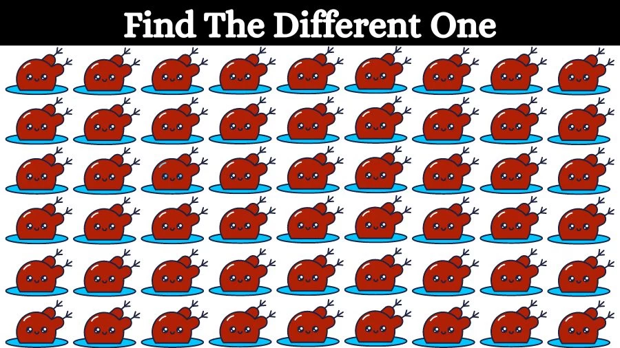 Brain Teaser Eye Test: How Fast Can You Locate the Odd One Out?