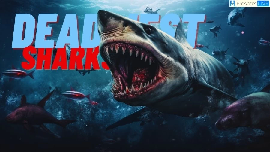 Deadliest Sharks in the World - Top 10  Nature's Apex Predators