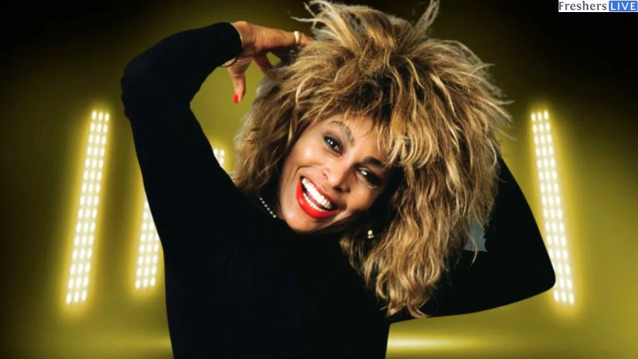 Did Tina Turner have Plastic Surgery? Know About Her Personal Life