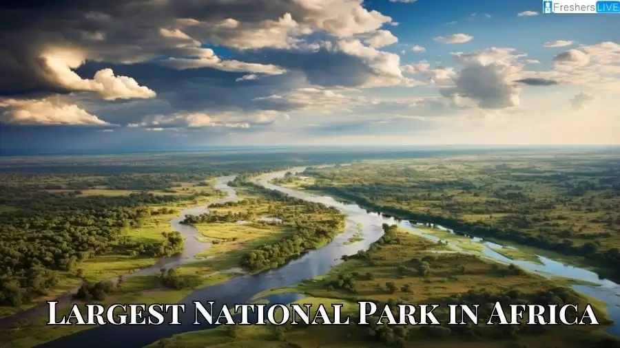 Largest National Park in Africa - Top 10 Adventurer's Paradise