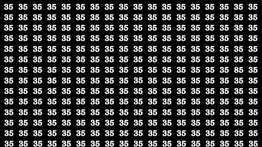 Observation Brain Challenge: If you have Eagle Eyes Find the Number 85 in 10 Secs